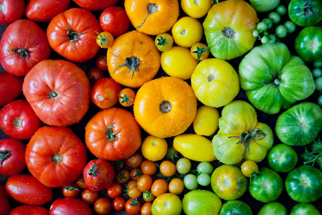 Fresh Off the Vine: Heirloom Tomatoes