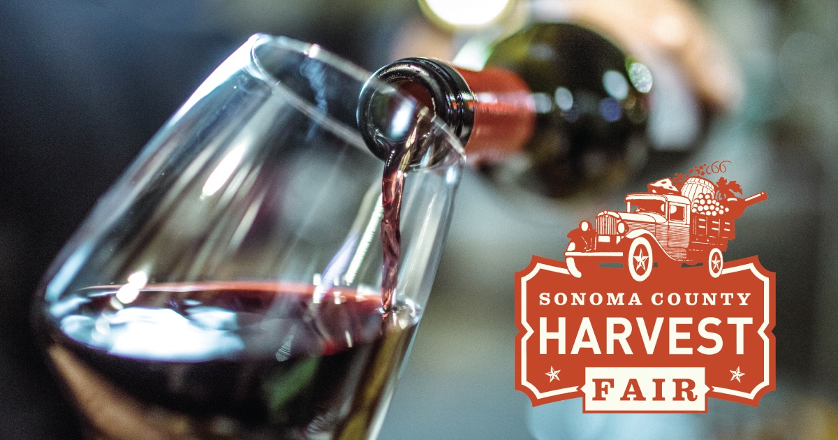 Harvest Fair Winning Wines Are Here! - Oliver's Markets