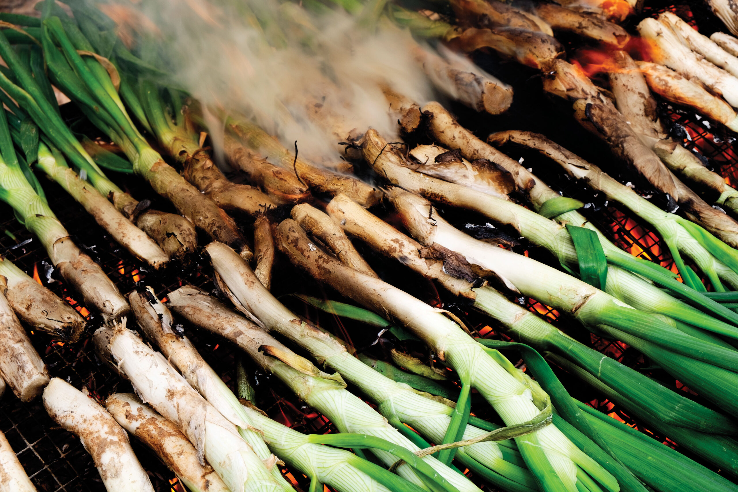 Grilled Green Onions - Oliver's Markets